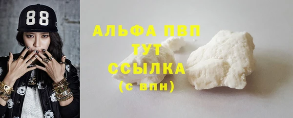 дживик Арсеньев