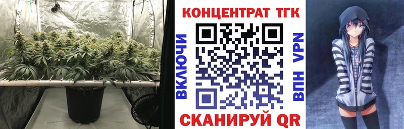 Купить где  Липки  ТГК жижа 